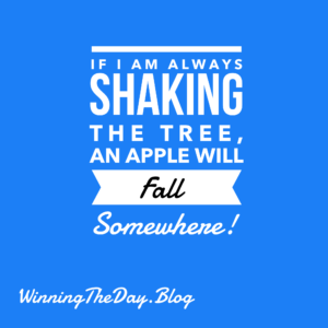 If I Am Always Shaking The Tree, An Apple Will Fall Somewhere!