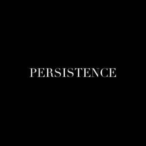 Persistence